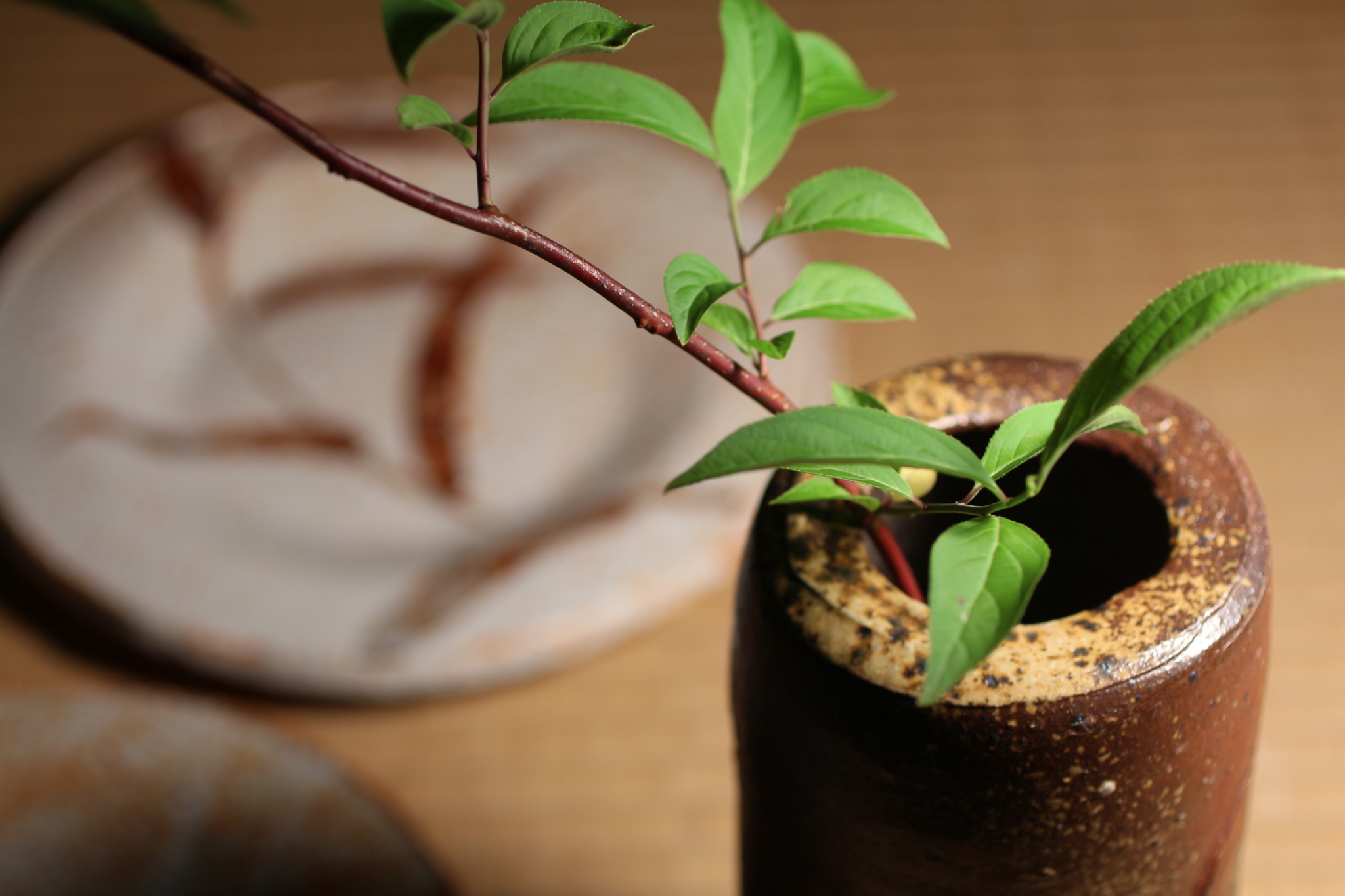 CM283】魯山人塗師 遊部石斎 原叟好 うるみ 反椀 十客 木製漆器